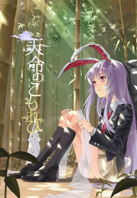 Touhou project Rabbit lost wing By otomeza ryuseigun