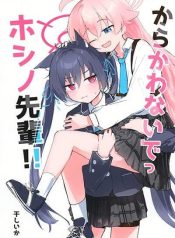 Blue Archive Karakawanaide Hoshino-senpai By Ikafriiiii