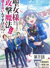 Seijo Sama Ni Naritainoni Kogeki Maho Shika Tsukaenai Ndesukedo!